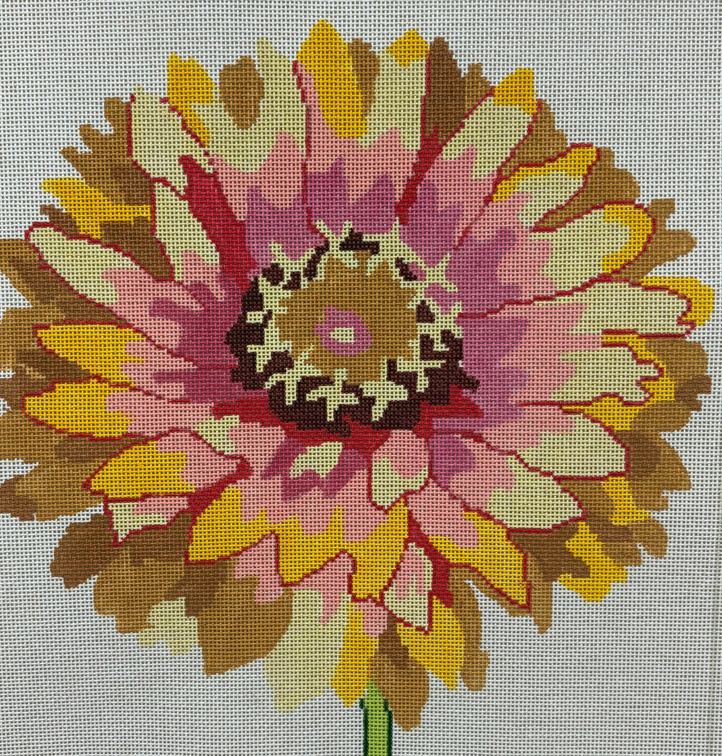 Summer's Day Zinnia