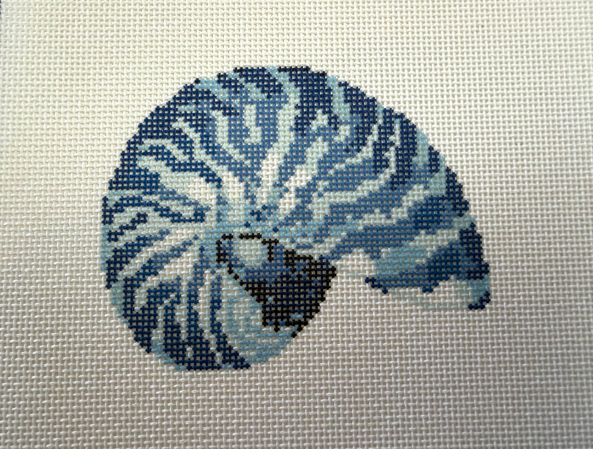 Blue Nautilus Mini
