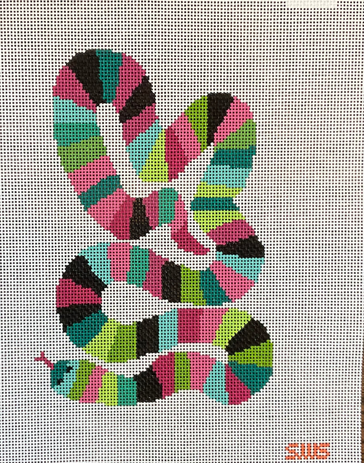 Colorful Snake