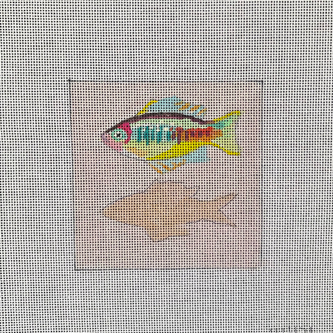 Fish on Pink
