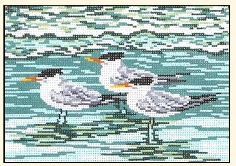 Royal Terns