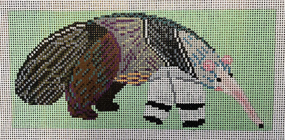 Anteater