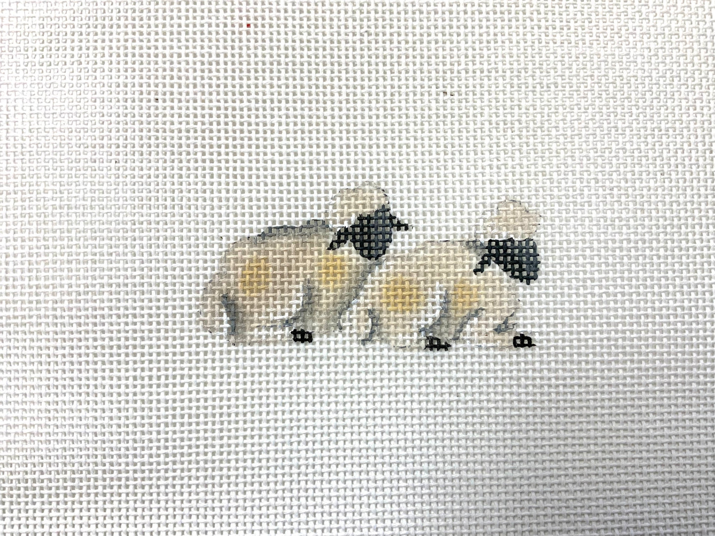 Mini Nativity Sheep