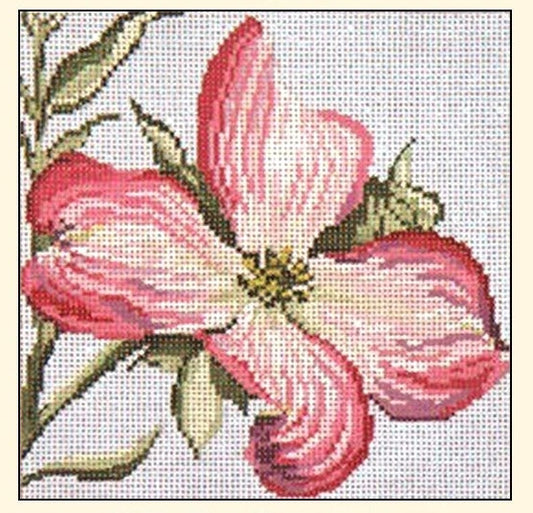 Pink Dogwood