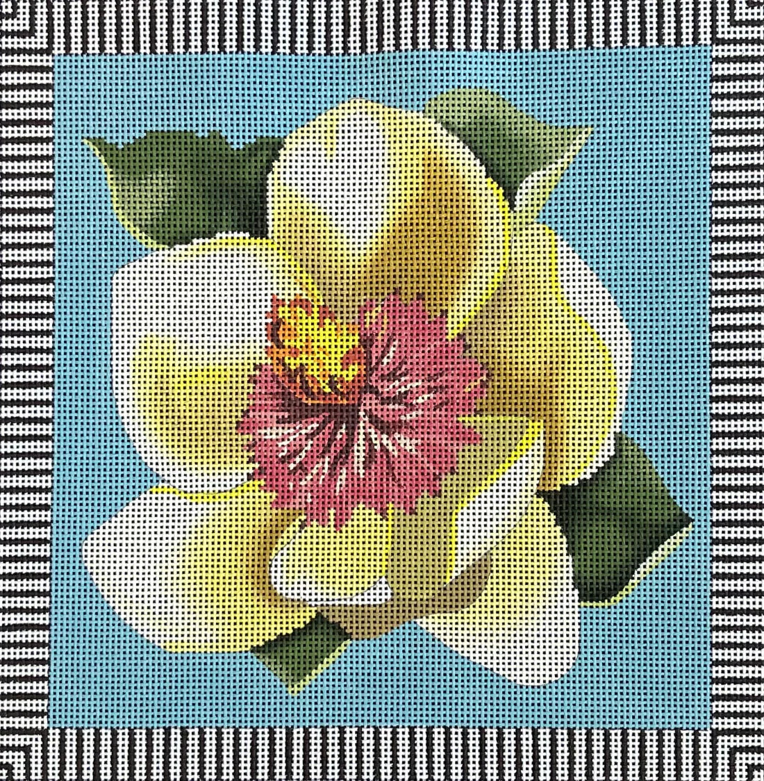 Magnolia