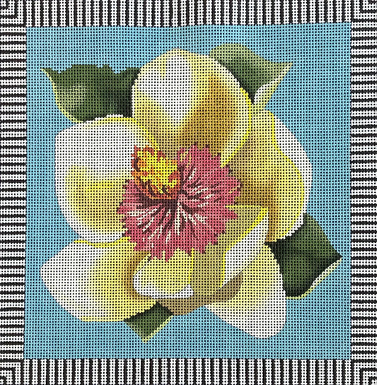 Magnolia