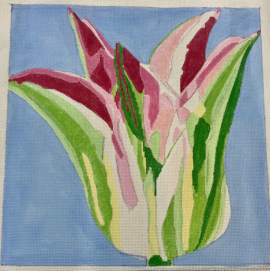 Jean Smith Large Tulip on Light Blue Background