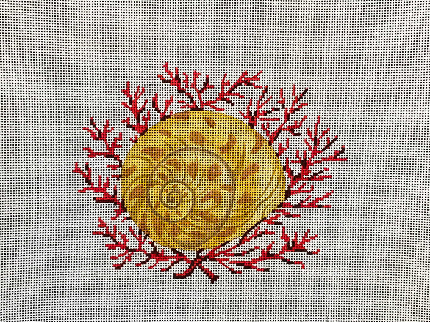 Moon Snail with Coral