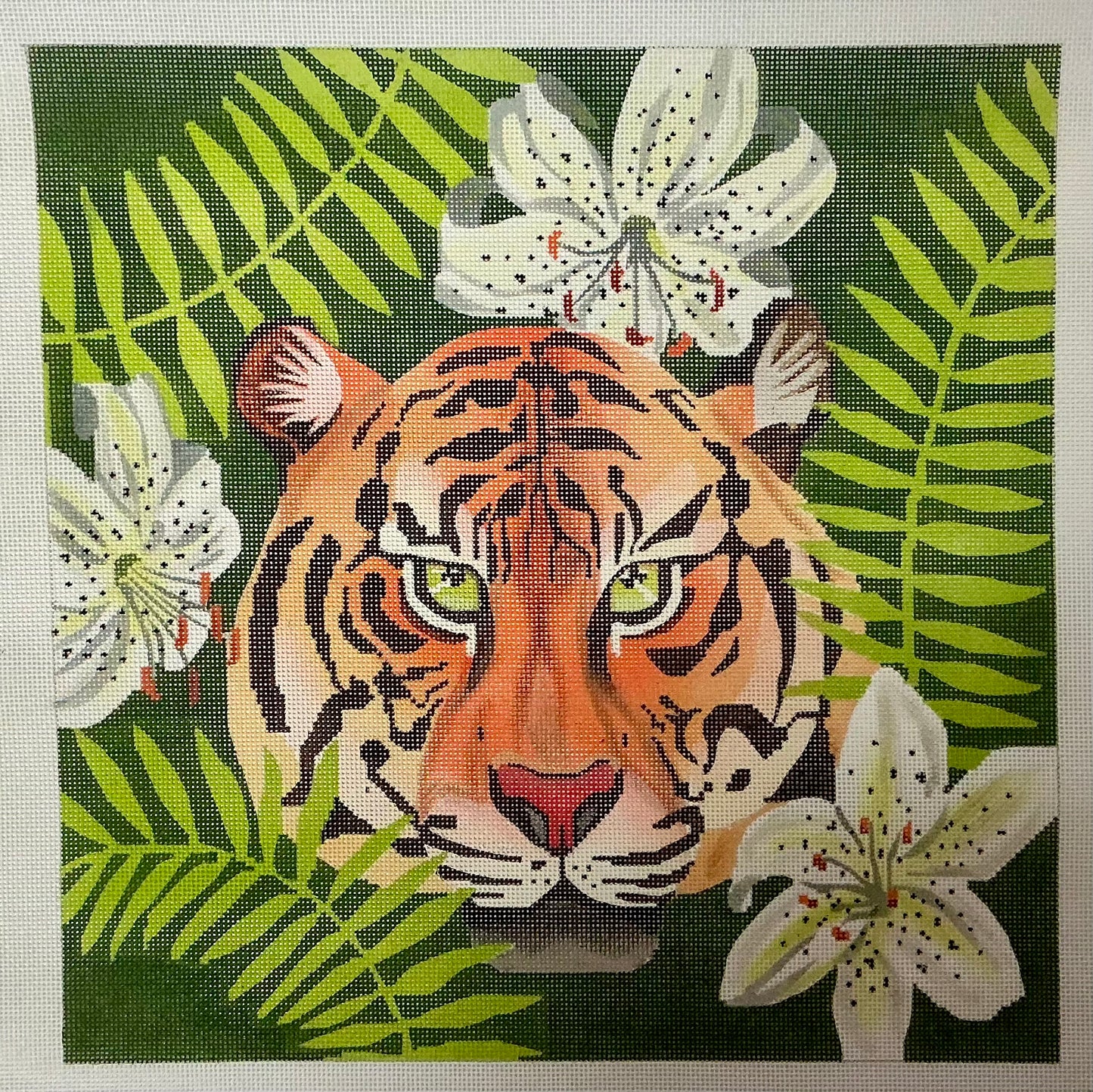 Tiger Lily Square