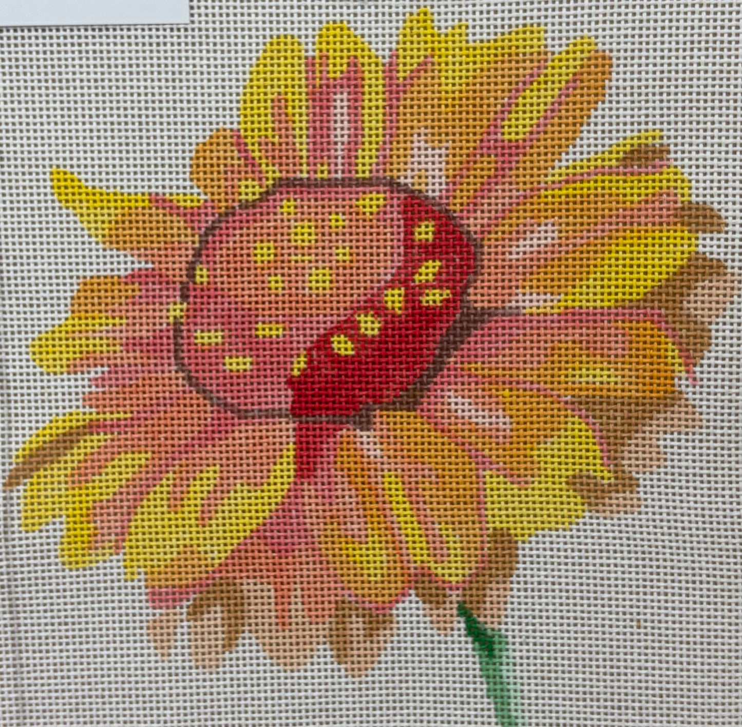Blanket Flower