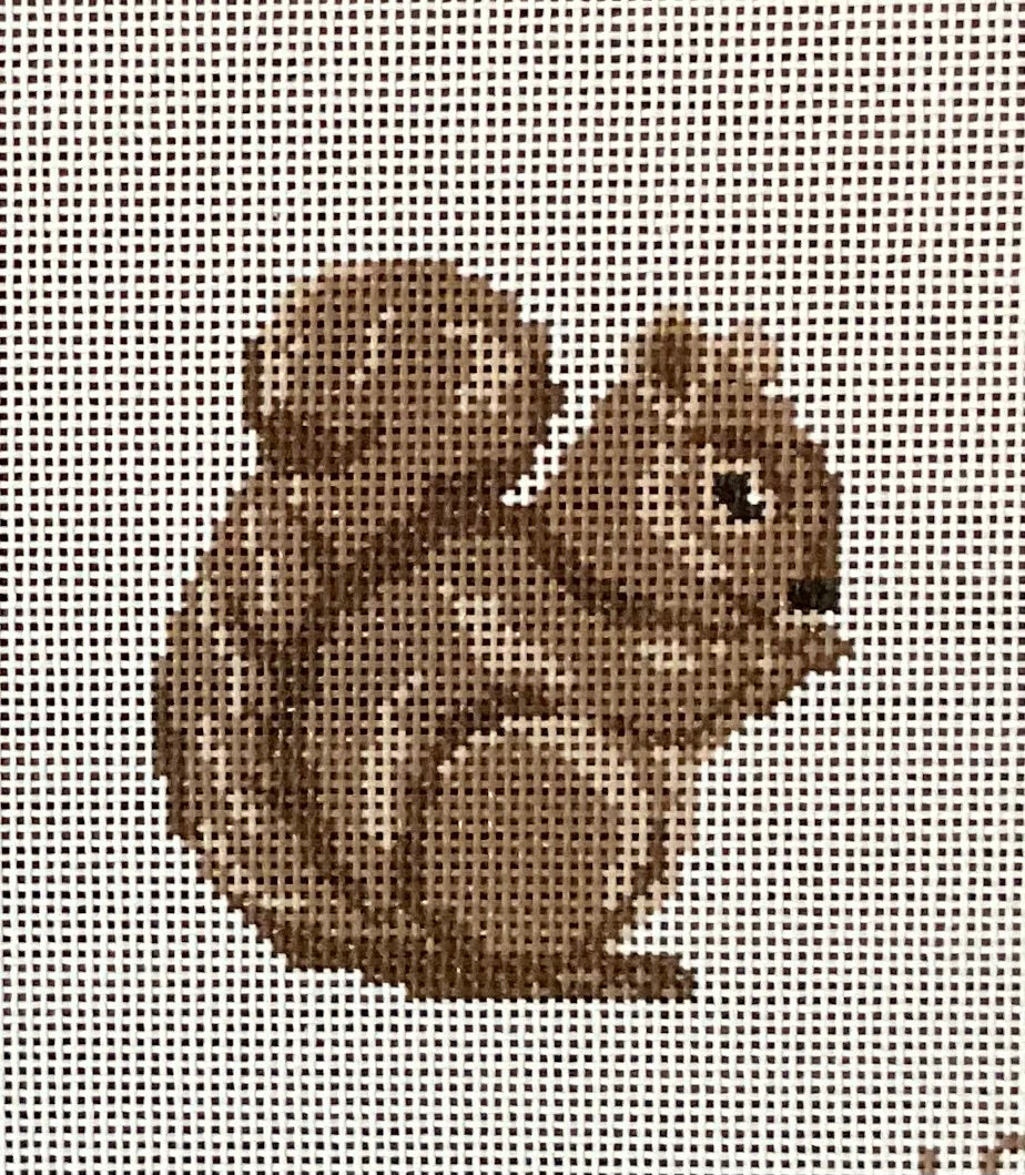 Baby Squirrel