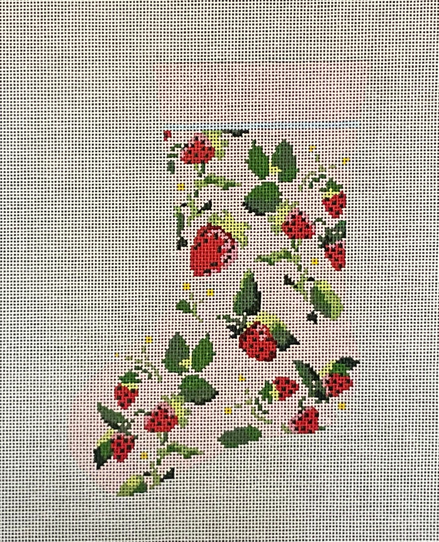 Strawberry Mini Sock