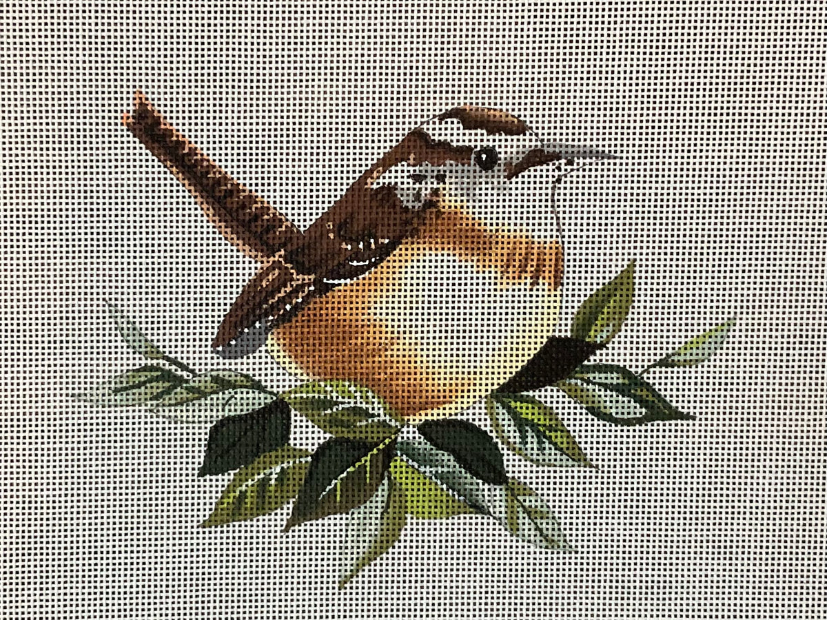 Carolina Wren