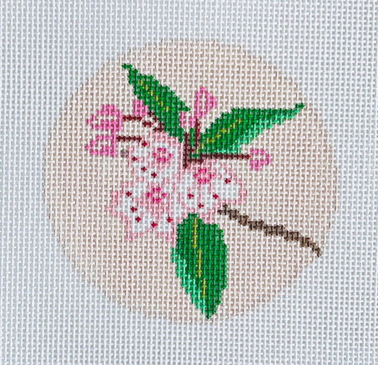 Mountain Laurel