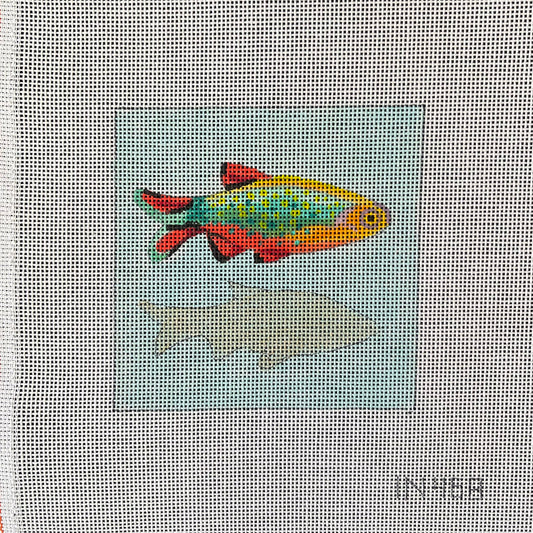 Fish on Blue