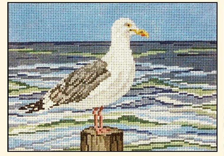 Lone Gull