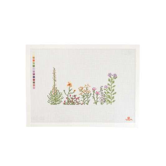 Kansas Wildflowers