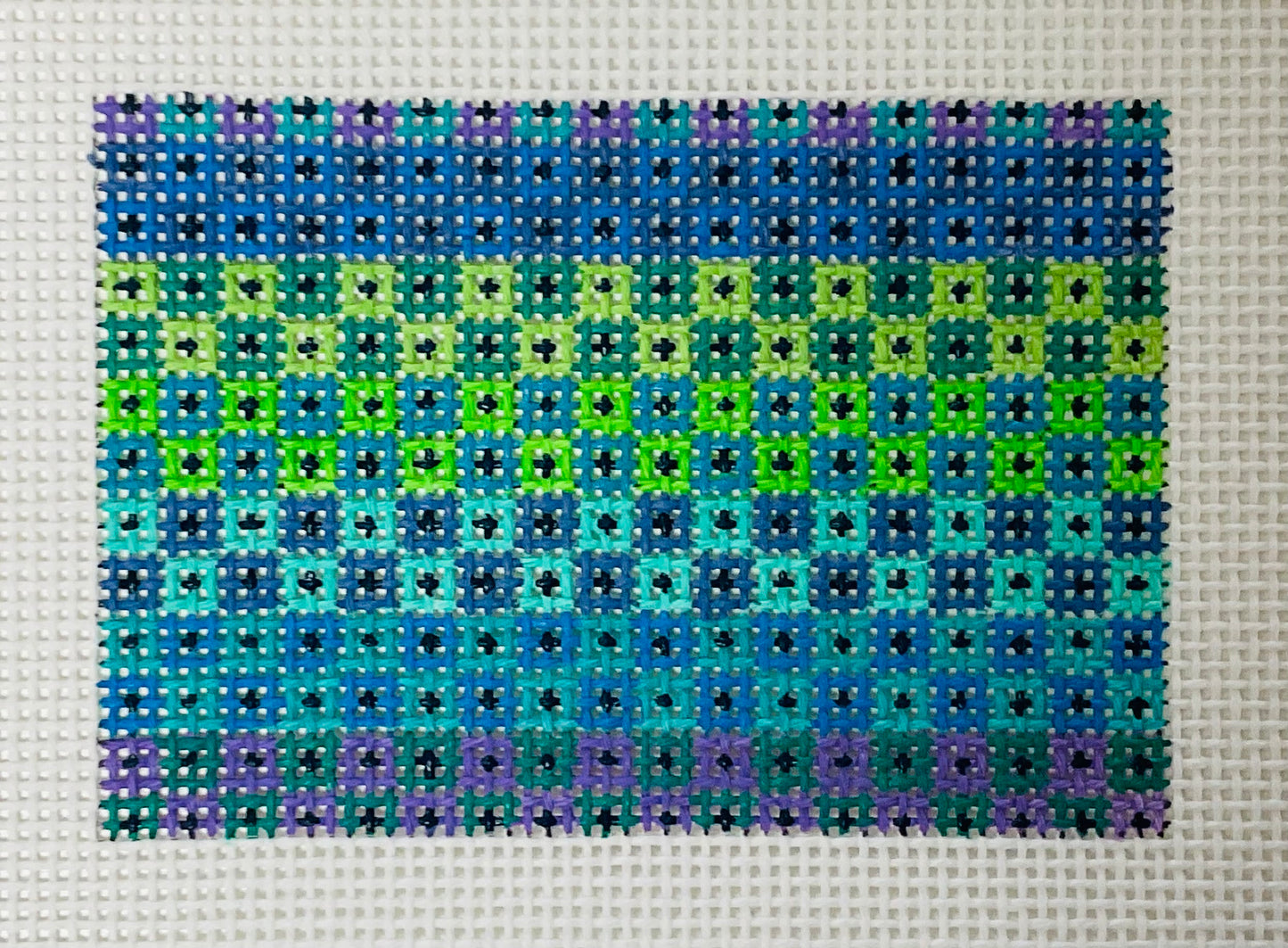 Wallet Insert Dots