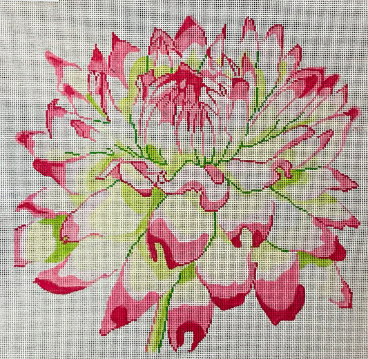 Pink/Green Mum